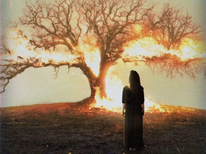 Chasing Nord - I Feel You